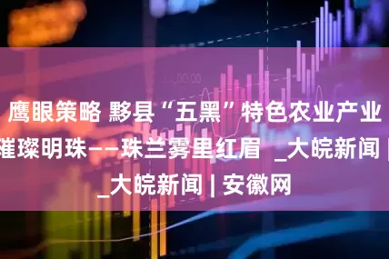 鹰眼策略 黟县“五黑”特色农业产业孕育的璀璨明珠——珠兰雾里红眉  _大皖新闻 | 安徽网